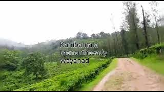 Kambamala, Mananthavady, Wayanad