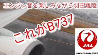 【これがB737】エンジン音を楽しみながら羽田を離陸するJL585便