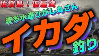 【仮屋湾・波多水産ひがし丸・イカダ釣り】波多水産ひがし丸さん・イカダ釣り