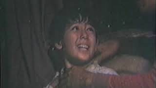 Sambahin Ang Ngalan Mo 1981 DvDrip XviD Tagalog Pinoy