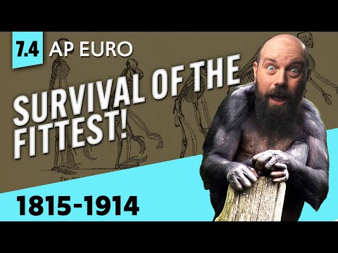 Why was Social Darwinism so popular?