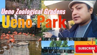 Explore The Tokyo Ueno Zoological Gardens 🦖🦕 || Animal Planet🐅🦒 Japan 🦍#ueno zoological graden