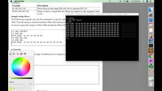 WEEK1: Debug Command MOVE