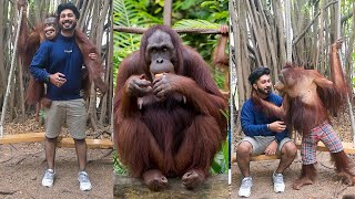 Kisses from an Orangutan | Thailand Malayalam vlog | Photoshoot With Funny Orangutan