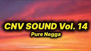 Pure Negga - Cnv Sound Vol. 14 (lyrics)