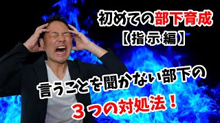 【部下育成③】言うことを聞かない部下の３つの対処法！5分で分かるマネジメント研修