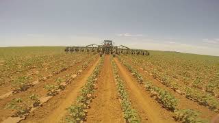 Bigham 889 Cultivator | Unfolding | Cultivation | Bigham Ag