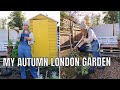 MY TINY LONDON GARDEN / ALLOTMENT GARDENING UK