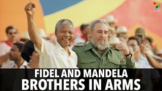 Fidel And Mandela: Brothers in Arms