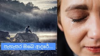 සැගවී ගිය ඔබේ සෙනෙහෙ... හද රිද්දනවා රහසේ...