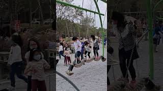 興隆公園自然森林遊戲場的盪鞦韆