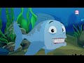 weird animals in the world the dr. binocs show best learning videos for kids dr binocs