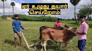 REKLA RACE Preparation | பந்தயமாடு தயார் செய்வதற்கு இதெல்லாம் செய்யனும்