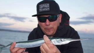 Beneath the Surface - Fishing for garfish in Weymouth