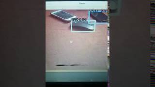 Image Detection with YOLO v2 Process Video in Python + opencv