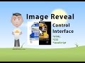 Dual Image Reveal Control Tutorial JavaScript CSS HTML