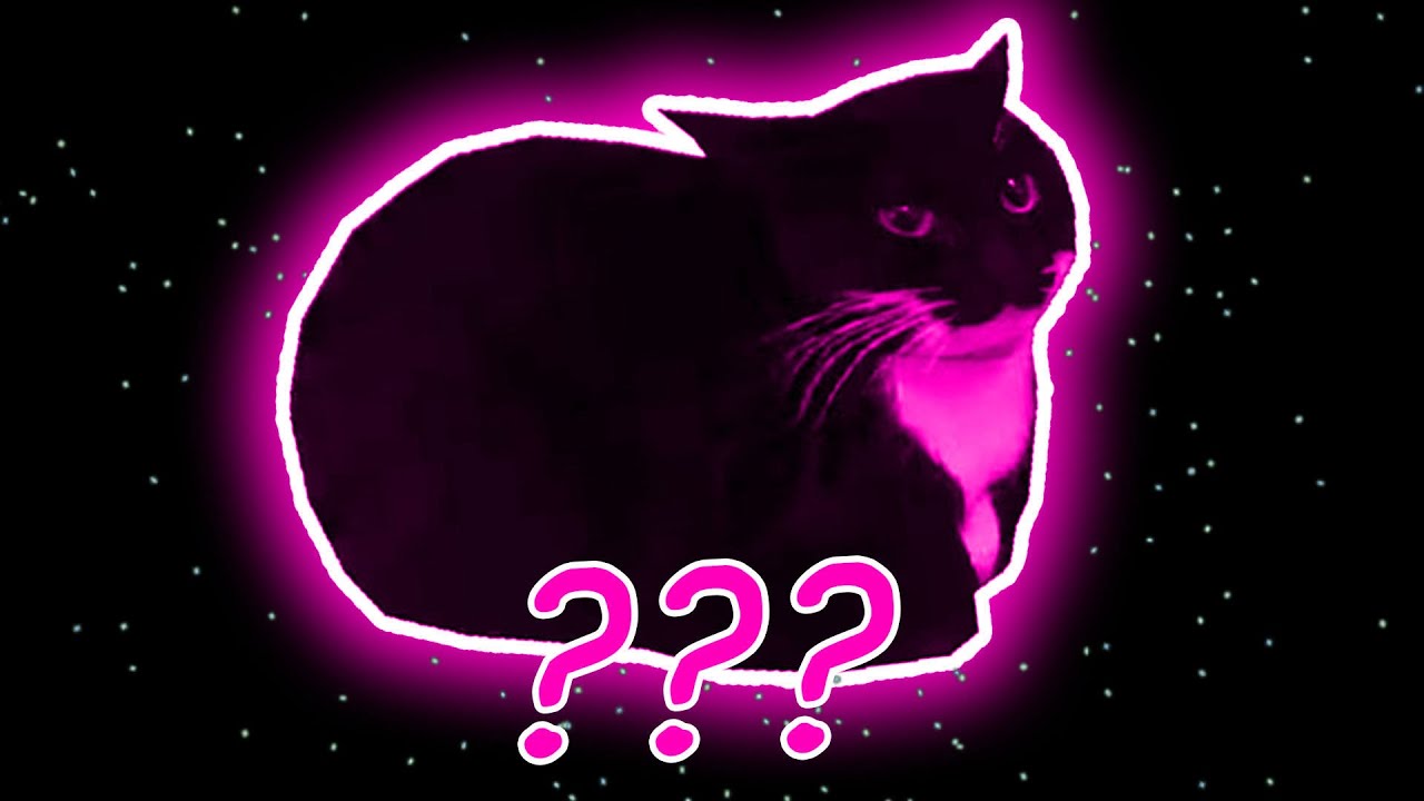6 Maxwell The Cat Sound Variations In 57 Seconds Youtube