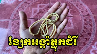 ខ្សែកអង្កាំភ្លុកដំរី​ ខ្នាត​តូចស្អាត