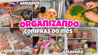 ORGANIZANDO A COMPRA DO MÊS 🥩🛒| NO ARMÁRIO E GELADEIRA 🌸| como eu organizo…