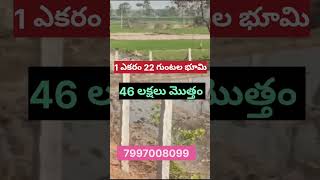 1 ఎకరం 22 గుంటల భూమి/46 #లక్షలు మొత్తం/#bestland #7997008099  #realestate