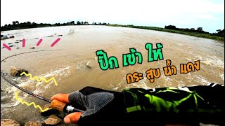 ตีกระสูบน้ำแดง ฝายวังยาง​ Hampala​ Fishing​ | น้า​ศาล​ เบ็ด​ซิ่ง​