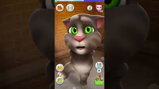 cat video | cat video game | #funny #funnyshorts #funnyvideos #funnycat