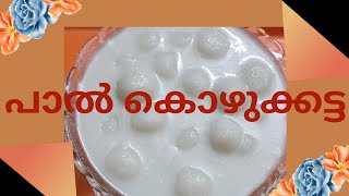 പാൽ കൊഴുക്കട്ട ഇങ്ങനെ ഉണ്ടാക്കി നോക്കൂ /Paal Kozhukattai Recipe