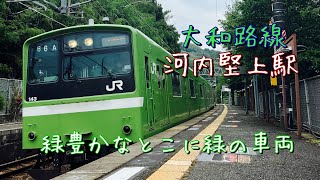 緑豊かな駅に緑の車両が！！河内堅上駅を発着・通過する列車たち