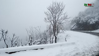 Balade Sous La Neige Sur La Route De Ain El Hammam à Tizi-Ouzou … Le 22 Janvier 2023 …