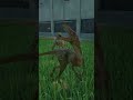 Troodon Gets Jump Scared By his Mates Unexpected Vicious Roar! #shorts #jwe2