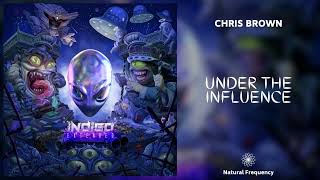 Chris Brown - Under The Influence HQ Audio