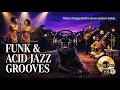 Funky Acid Jazz Grooves 🎷 Global Fusion & Nu-Jazz Journey [Vol. 4]
