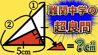 【稀に見る超良問】すがふじが感動した三角形の問題【面白い図形問題】