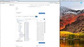 How to restore multiple files from Backblaze