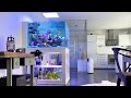 1000 LITER TANK! - Bigger REEF AQUARIUM from 300 to 1000 liter DESIGNER TANK