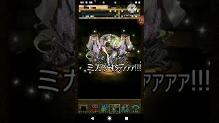 【パズドラ】式神使いと妖ガチャを引いたら環境最強キャラを引いてしまう#shorts