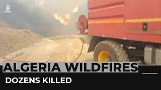 Wildfires in Algeria kill dozens, force hundreds to flee homes