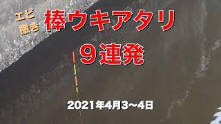 ウキのアタリ9連発【エビ撒き釣り】 2021年4月初旬