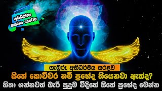 EPI 06 - සිතේ ඇති හිතාගන්නවත් බැරි පුදුම විදිහේ ප්‍රභේද මෙන්න