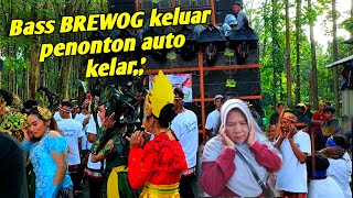 PENONTON BREWOG DIBUAT KAGET DAN PANIK AWAL BASSNYA KELUAR