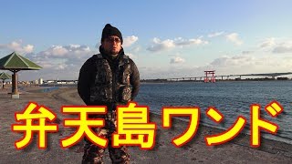 【遠州釣り倶楽部】静岡県・浜名湖釣り場・弁天島・ワンド！Fishing in Lake-Hamana(Bentenjima),Japan