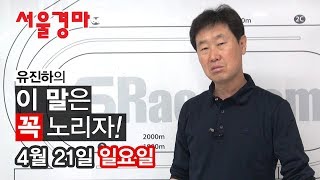 19년 4월 21일 (일) 이 말은 꼭 노리자![경마방송]