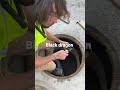 Painting manholes ￼