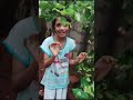 വീട്ടിലെ ചെറി മരം ചെറി പഴം പരിചയപ്പെടാം cherry cherrys cherryvlogs vairalvideo