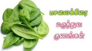 பசலைக்கீரை மருத்துவ குணங்கள் | பசலைக்கீரை நன்மைகள் | பசலைக்கீரை பயன்கள் | Healthy lifestyle tamil