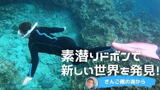 【石垣島でシュノーケリング】素潜りドボンで新しい世界を発見！3月23日シュノーケルツアー動画