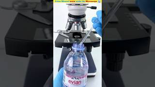 Evian Mineral water under the Microscope 🔬 #short #shortfeed #microscope