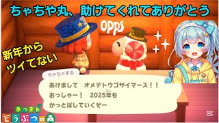 【あつ森】ちゃちゃ丸に助けてもらったよ！新年早々ありがとう #animalcrossing