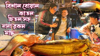 ১১ কেজি ওজনের বোয়াল আনলো গাজী ভাই বড় বড় চিতল 🐟 কাতল সব নানা রকম নদীর মাছ | #biggestfish market🦈