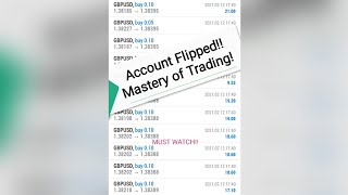 How To Flip a 250$ Account in less than 1 Hour in Forex Trading!!